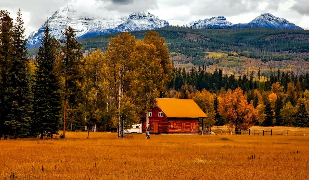 Colorado eviction notice